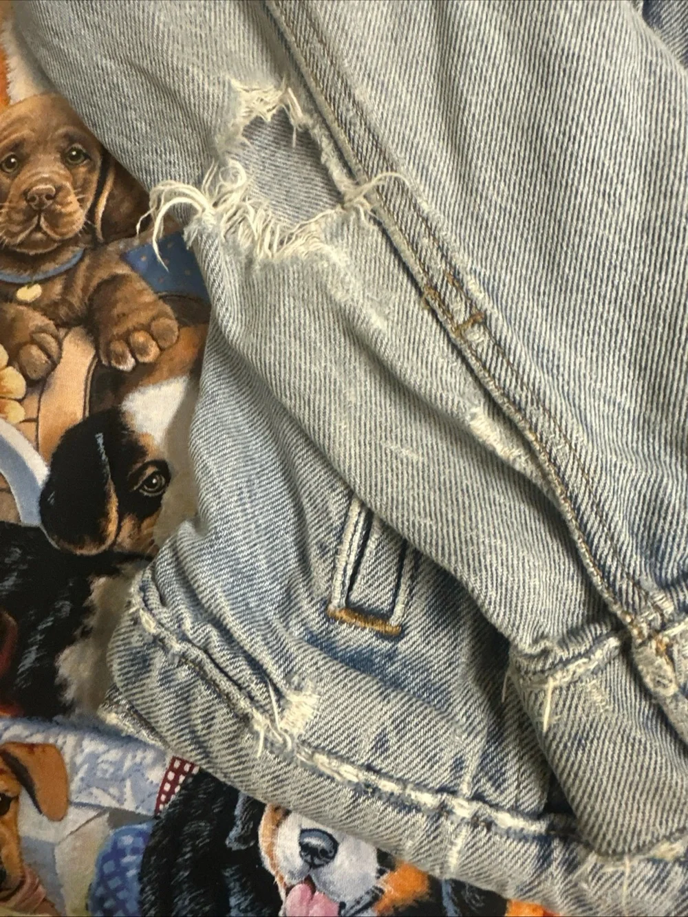 Levis authentic levi